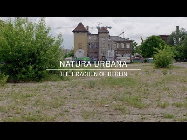 Den architektury: Natura Urbana: The Brachen of Berlin