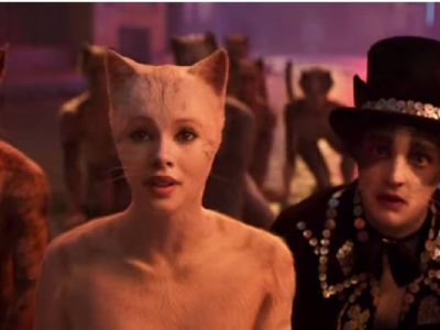 Cats