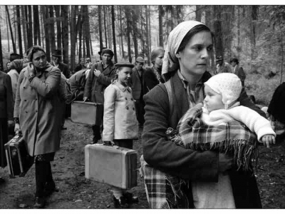 Krajina ve stínu